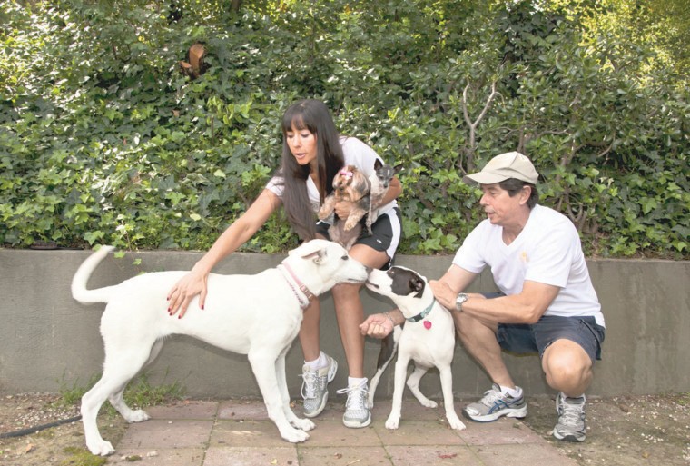 DogVacay